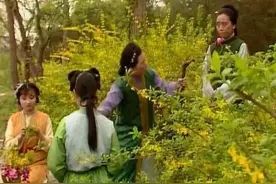 哪类女人是“鱼眼睛”？图片