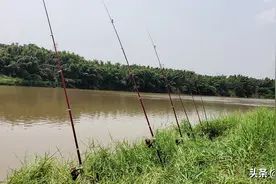 学会翻板钩钓法，从此纵横江湖，开始体验翻板钩钓大鱼的激情吧图片