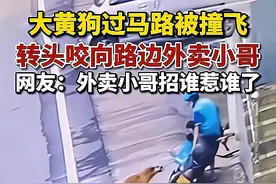 大黄狗被汽车撞飞后，转头咬向外卖员：人在车上骑，锅从天上来图片