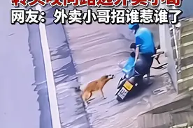 大黄狗被汽车撞飞后，转头咬向外卖员：人在车上骑，锅从天上来图片