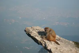 哥看的不是风景，是寂寞！图片