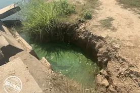江西：赣江南昌段部分水域出现大量蓝藻，还有股腥味儿图片