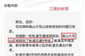 地铁9号线线路规划一波三折，未来能通到江夏这个区域吗？图片