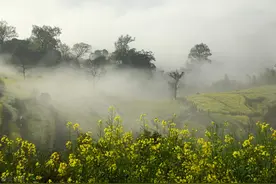 现代小甜文（已完结）图片