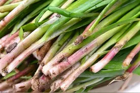 买韭菜，“宽叶”和“窄叶”要分清，二者差别大，买错不香口感差图片