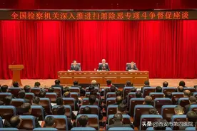扫黑除恶“不放过、不凑数”，决胜之年如何向纵深推进？图片
