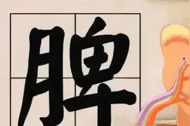 上厕所时，大便前头干硬，后头软粘，说明了什么？图片