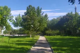 廊坊文化艺术公园：想拍唯美的照片，来这里就够了图片