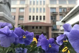 安静的校园 春日的美好——走进潍坊光正潍州外国语学校图片