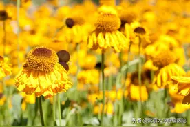 唐丽丽教授：用医学人文之魂，护生命花园之花——记于第27个全国肿瘤防治宣传周图片