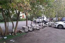 国外居民给流浪猫搭住宅，不但有“经适房”，还有“酒店公寓”图片