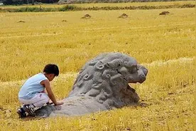 当年雄伟的北宋皇陵：现在已成农田，神道旁威武石刻已半掩土中图片