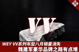 WEY VV系列车型八月销量消失，魏建军豪华品牌之路有点难图片
