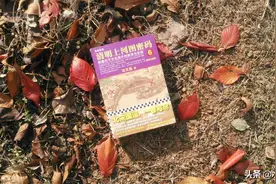 《清明上河图密码6》:一卷写尽北宋图片