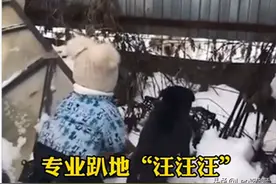 看到自家狗狗在“吵架”，萌娃的反应亮了图片