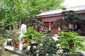 户外的乡村会客厅——院子，才是田园生活的标配图片