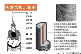 [染发资料] 比较全面的染发理论知识图片
