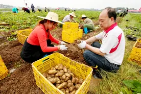 大件事！平南上人民日报了！图片