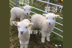 在公司充电被指“薅羊毛”，杭州一小伙在公司蹭电蹭空调结果被辞退图片