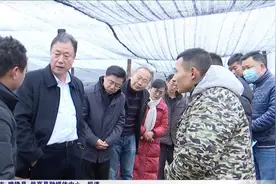 邓家富到兴仁 晴隆 册亨调研食用菌产业发展工作图片