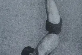 132.手倒立式（Adho Mukha Vrksasana）图片