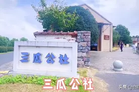 今年国庆，这里100万枝百合花为你绽放图片