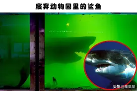 诡异发现：在废弃的建筑物中发现的4个令人毛骨悚然的东西图片