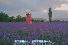 来看紫色~马鞭草HerbaVerbenaeOfficinalis图片