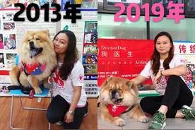 仰卧撑宠物达人专访：两代松狮“狗医生”的坚强铲屎官Erika图片