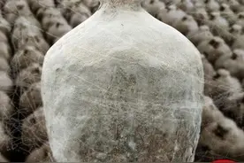 2020假酒大全，碰到它们可要当心图片