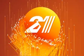 2021年度21家高成长性创新公司发布图片