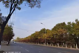 节外生枝 档案跟身份证不符 延迟两年退休图片