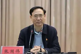 卸任新乡市委书记后，张国伟新职明确图片