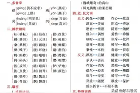 部编版五年级下册语文1～8单元基础知识归类复习，收藏好图片