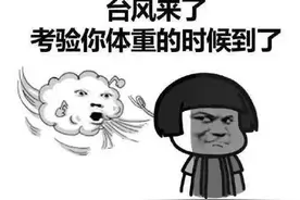 台风来袭，你的体重能抗住几级台风？低于这个体重不要出门哦图片
