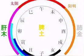马新童：回归到古圣贤的思维去研习中医丨真传一刻图片