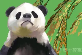 每年进口1亿吨！中国粮食年年丰收，为什么还要从国外进口？图片