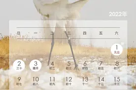 叮咚！你的2022年假期安排来了图片