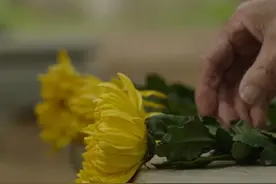 转扩！帮烈士寻亲，送英雄回家！图片