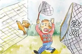 想“电猫”打猎？先看个案例，来段rap图片