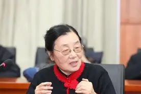 历史学家刘志琴去世，儿子毛丹青因疫情无法回国送别图片