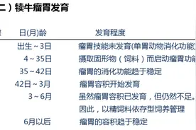 犊牛提前补料与不补料的差距有多大呢？详看解剖图图片