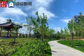 万元大奖！中北·新都心摄影大赛正在火热报名中图片