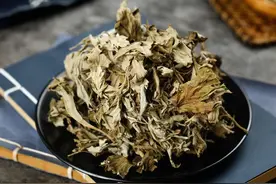 农谚：家有三年艾，不用郎中来，何时割艾，怎么晾晒和保存？图片
