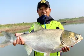 同是钓鱼大师，为何刘志强不屑于“盘老板”，邓刚却乐此不疲图片
