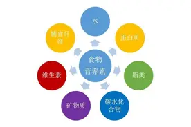 人体42种必需营养素你知道多少？图片