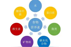 人体42种必需营养素你知道多少？图片