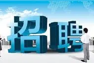 993名！保定市事业单位招聘公告来了图片