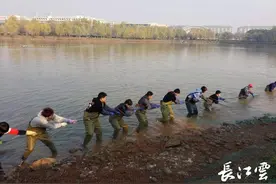 这是什么神仙大学？鱼䲆鱻䲜！全鱼宴来了图片