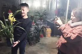 兰花品种大全，有多少你没见过？视频封面